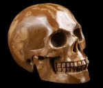 Map Jasper Skull